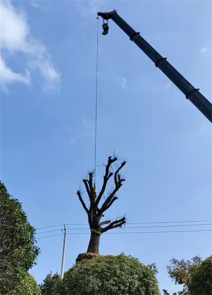 隆昌吊车出租下乡干活路况差，如何保证安全？