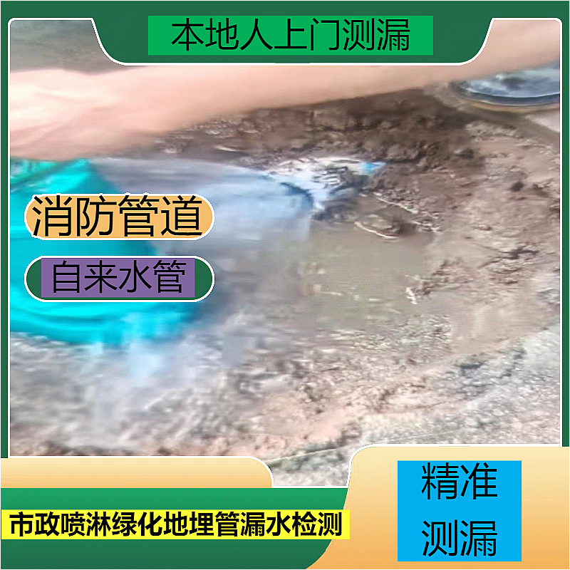 文章插图