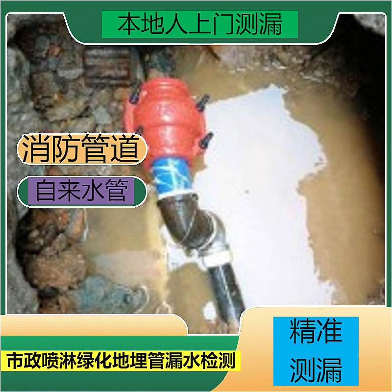 文章插图