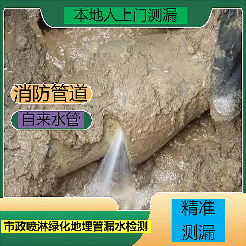 文章插图