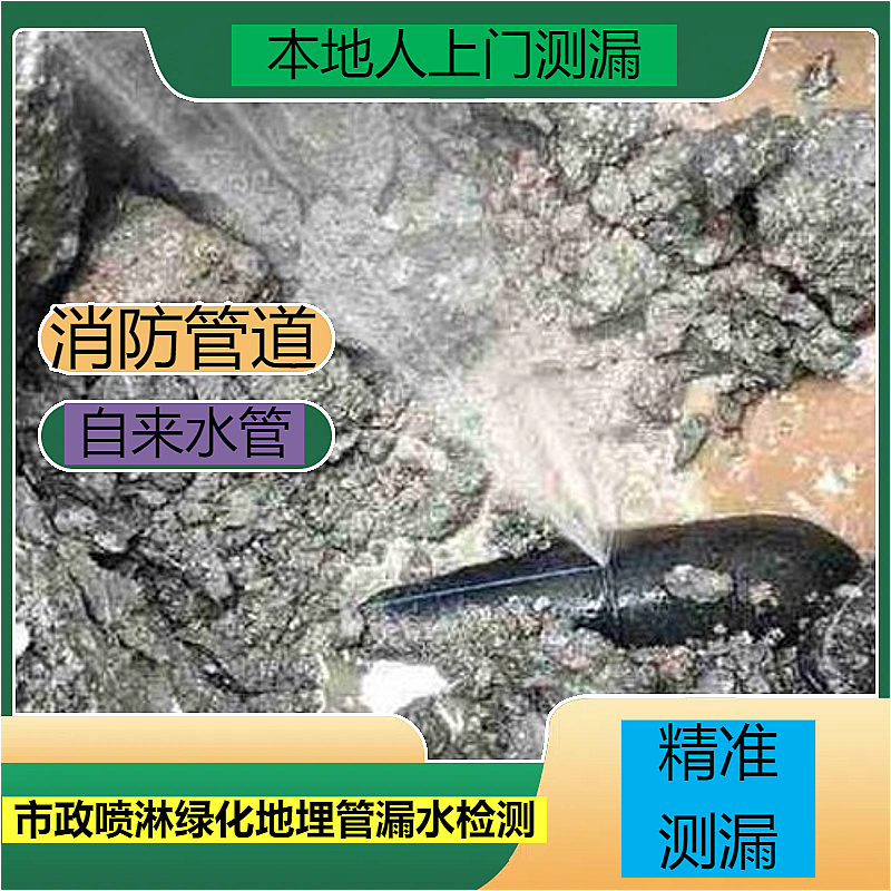 文章插图