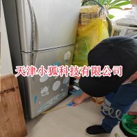 天津灭老鼠卫生间地漏跑老鼠，上门治理该怎么做