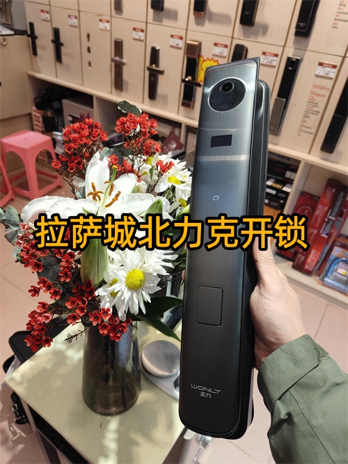 拉萨汽车钥匙全丢急用，配芯片钥匙这3点避坑指南