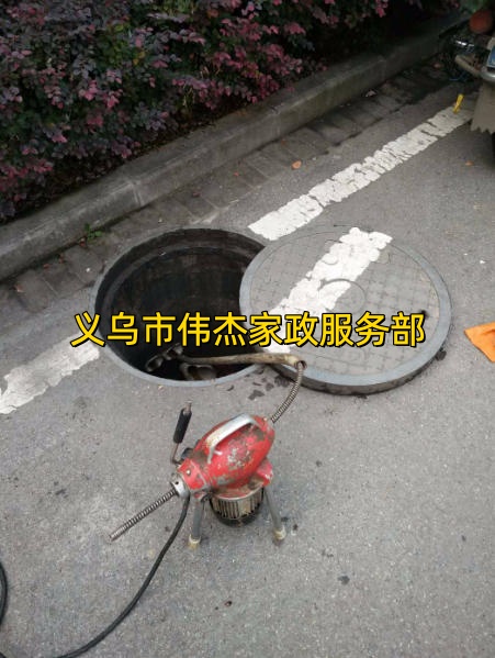 文章插图