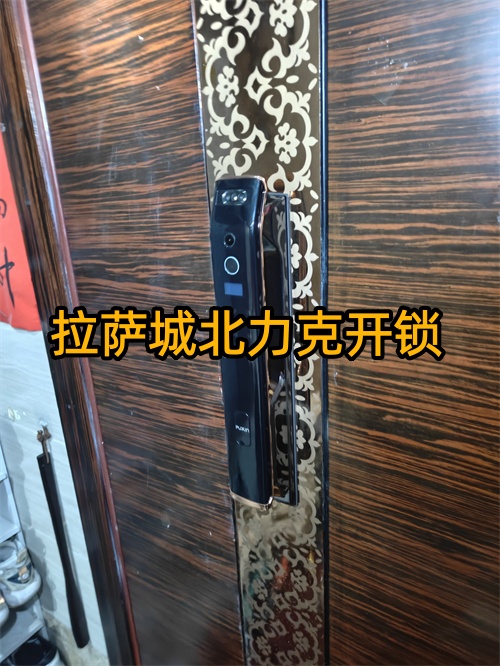 拉萨换锁芯，紧急！哪家锁具维修靠谱？快速解决换芯难题