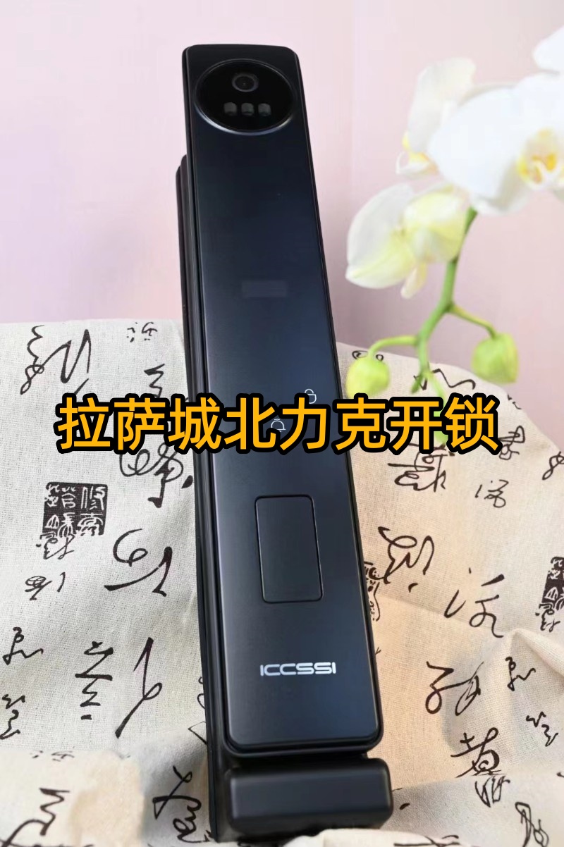 拉萨市24小时紧急开锁服务，深夜门锁难题快速解决