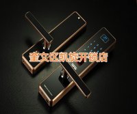 潍坊经济开发区开保险柜锁密码锁保险柜能开吗？