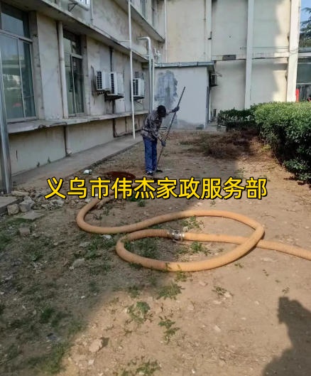 文章插图