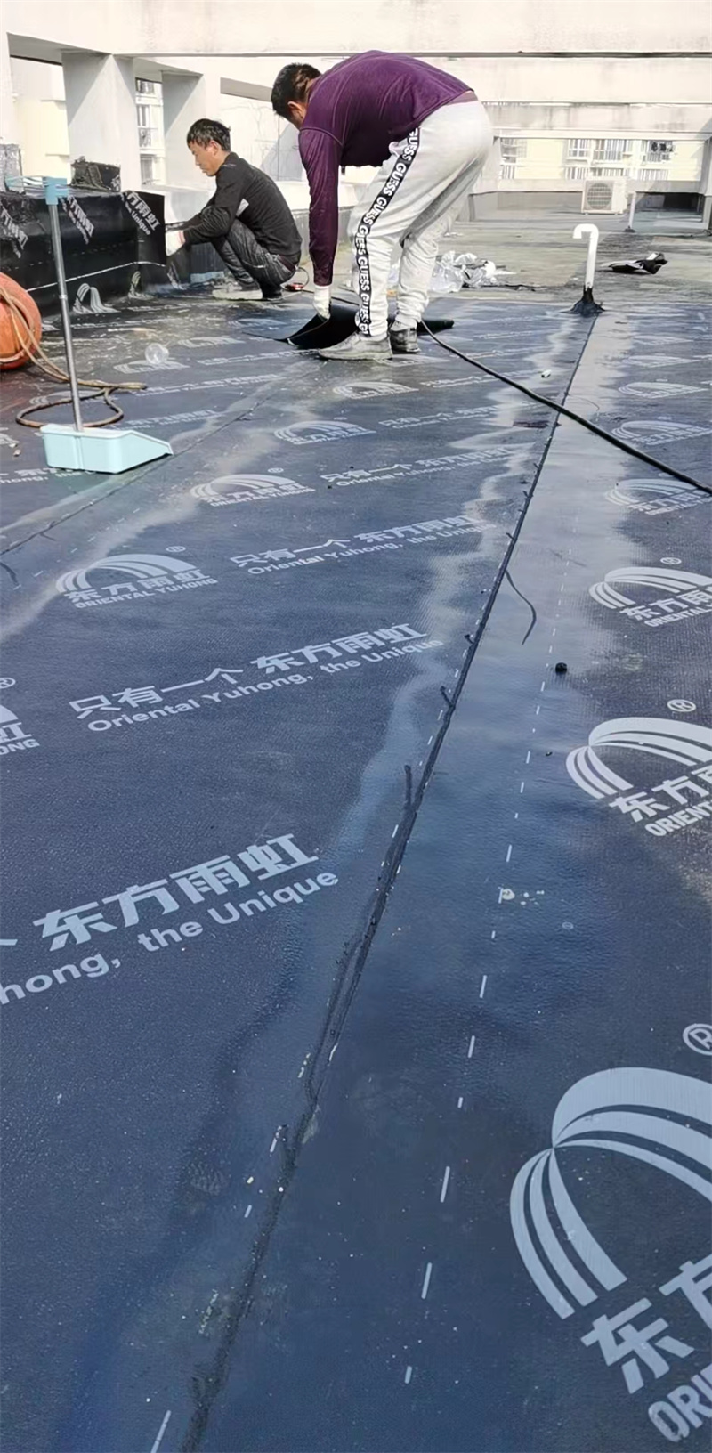 文章插图