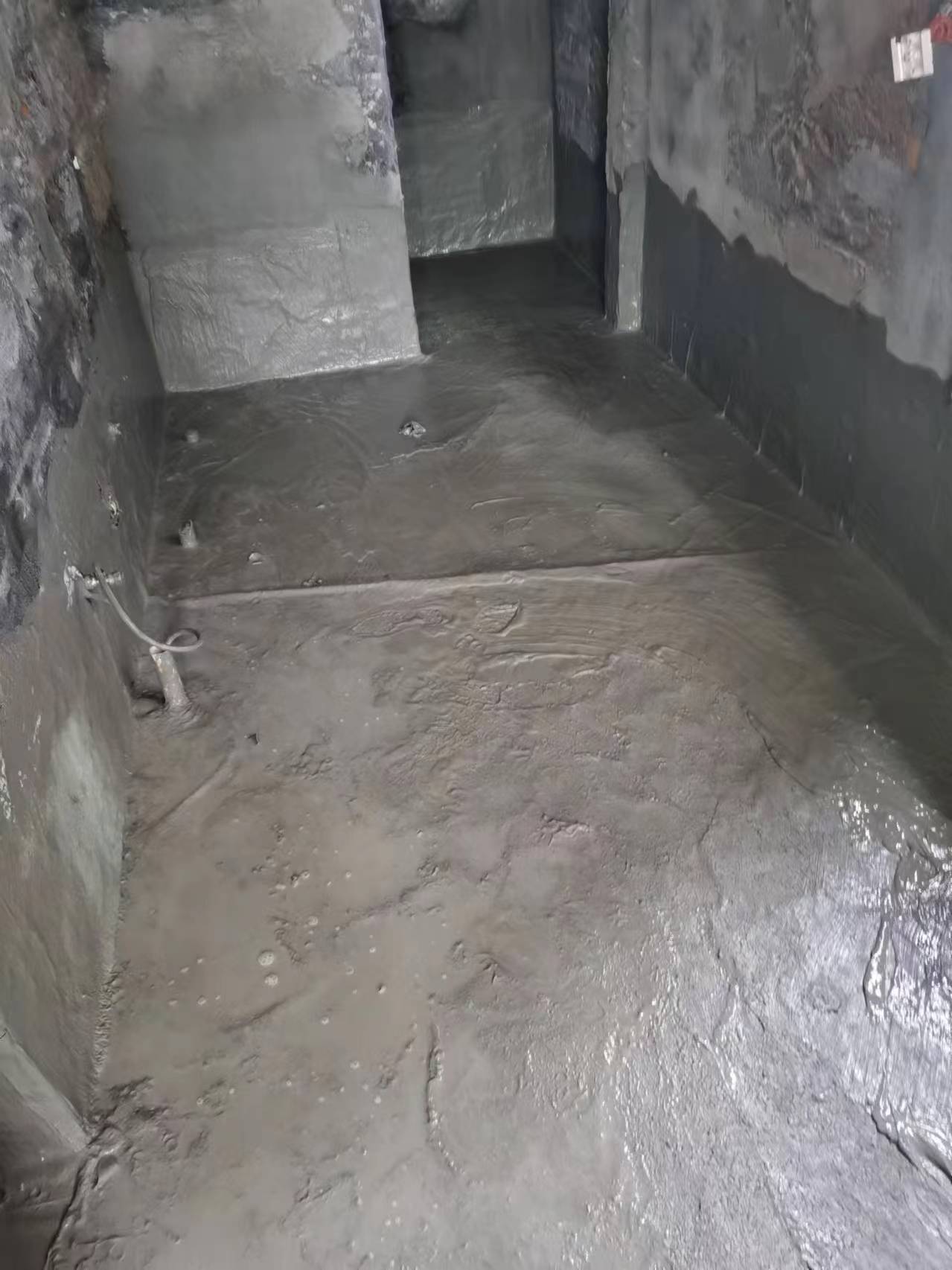 文章插图