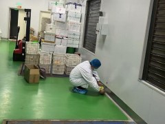 南阳灭鼠攻略，覆盖全市乡镇，教你挑选靠谱消杀公司方法汇总！
