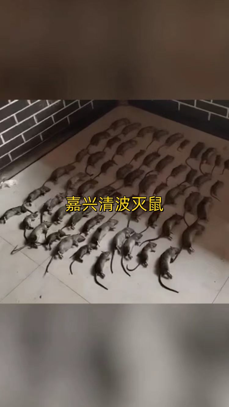 文章插图