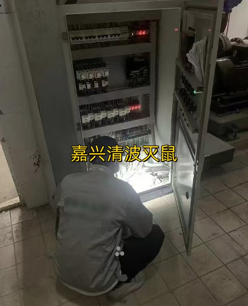 文章插图