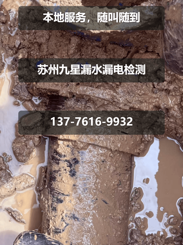 文章插图