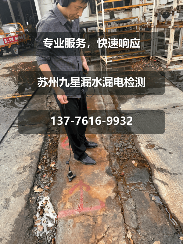 文章插图