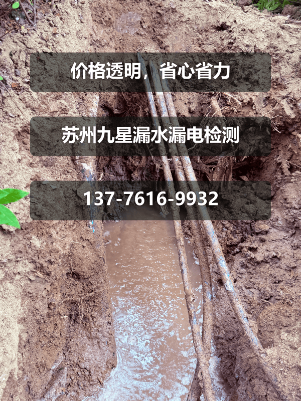 文章插图