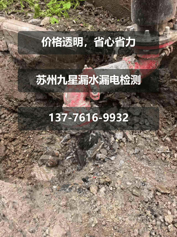 文章插图