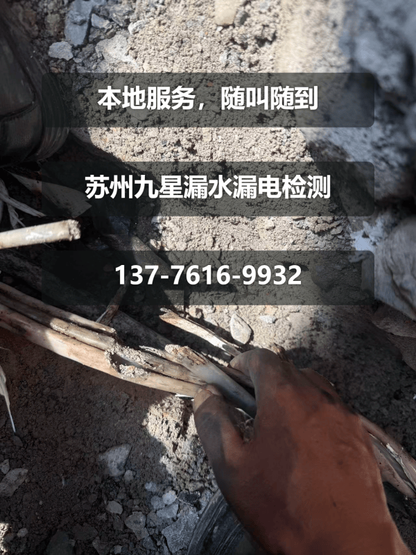 文章插图