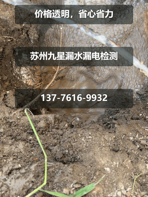 文章插图