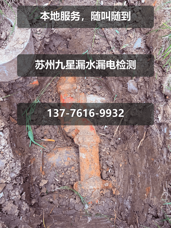 文章插图