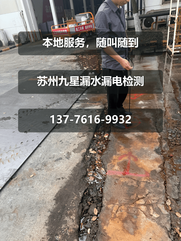 文章插图