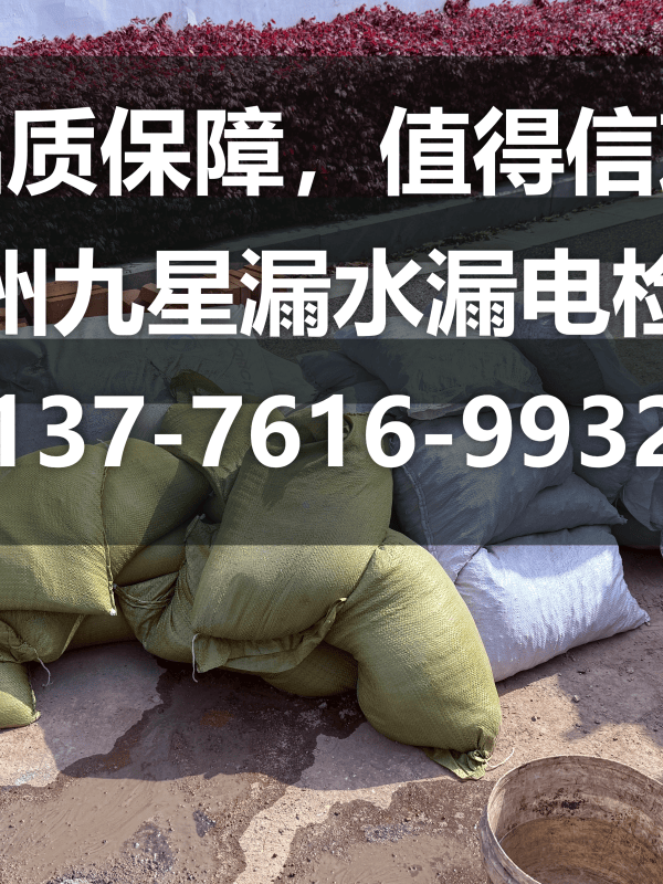 文章插图