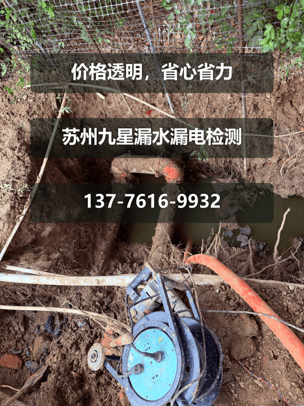 文章插图