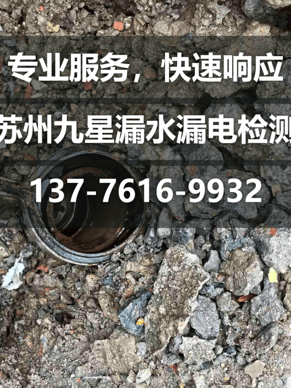 文章插图
