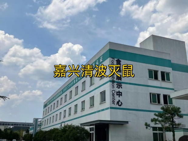 文章插图