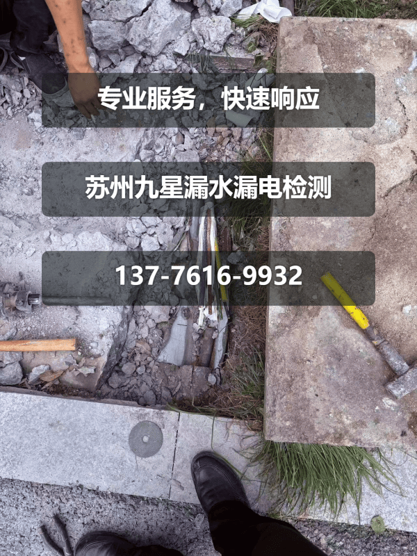 文章插图
