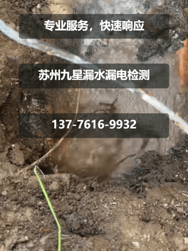 文章插图