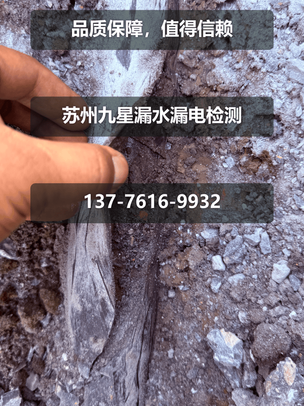 文章插图