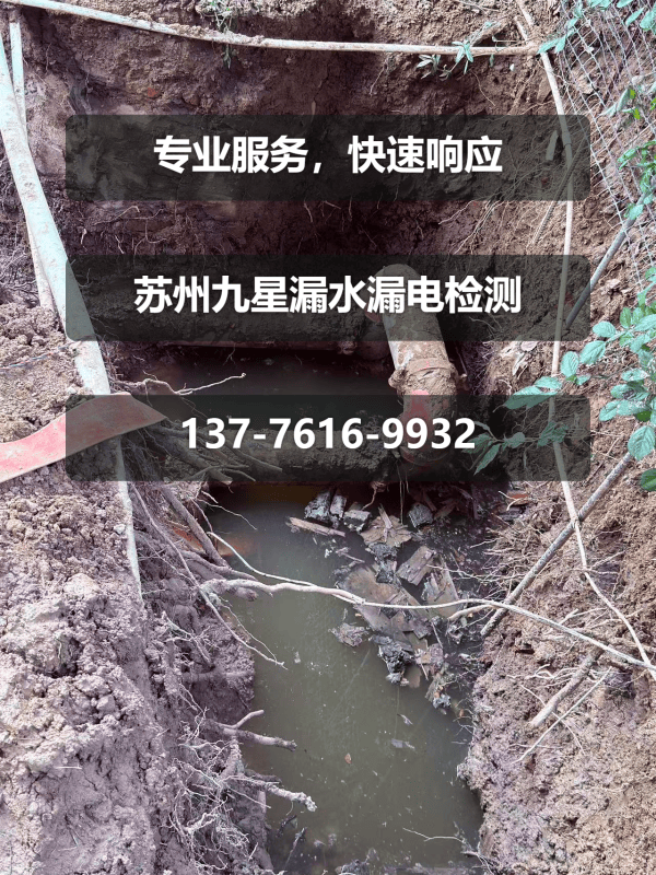 文章插图