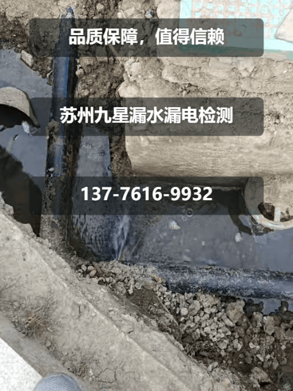 文章插图