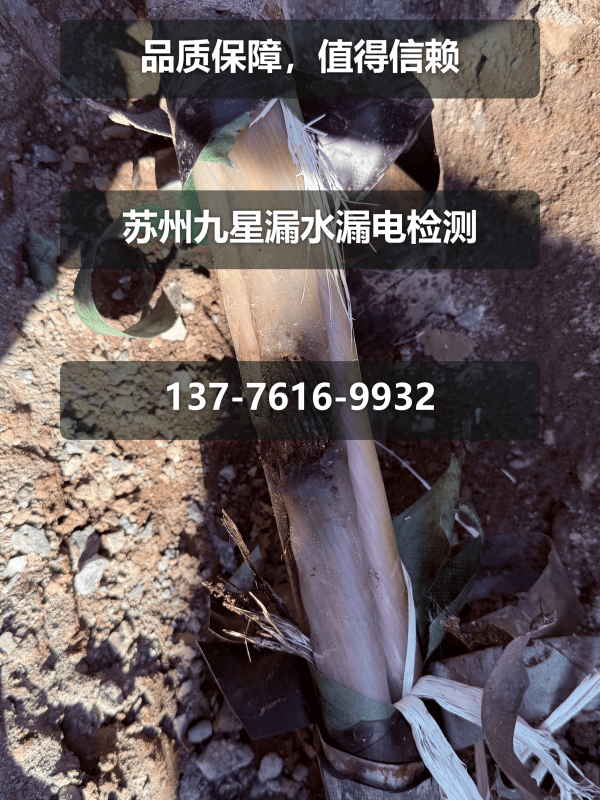 文章插图