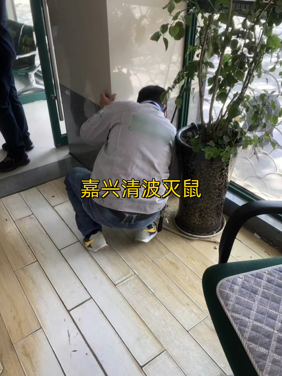 文章插图
