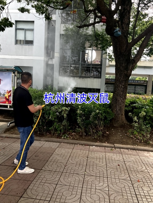 文章插图