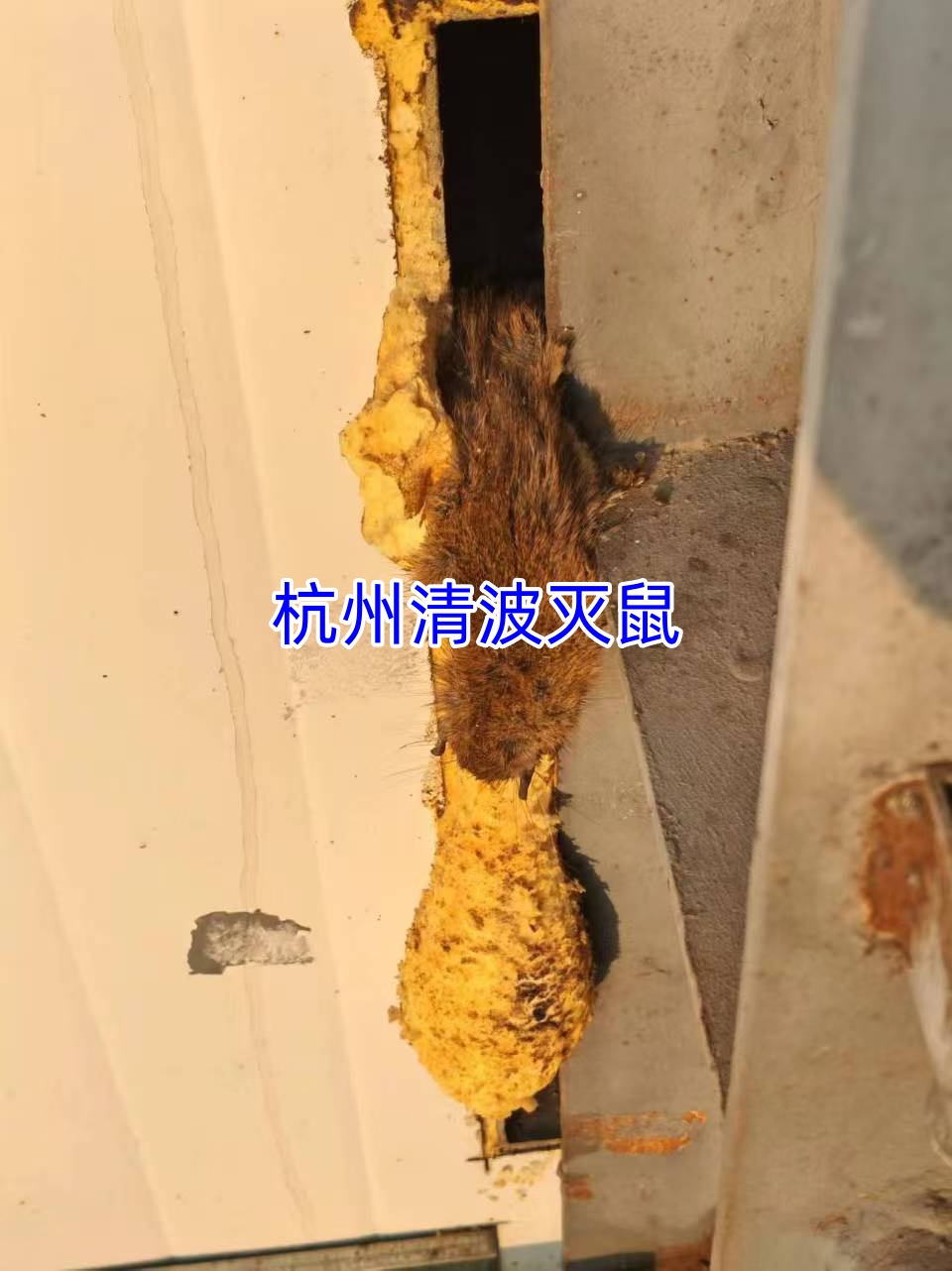 文章插图