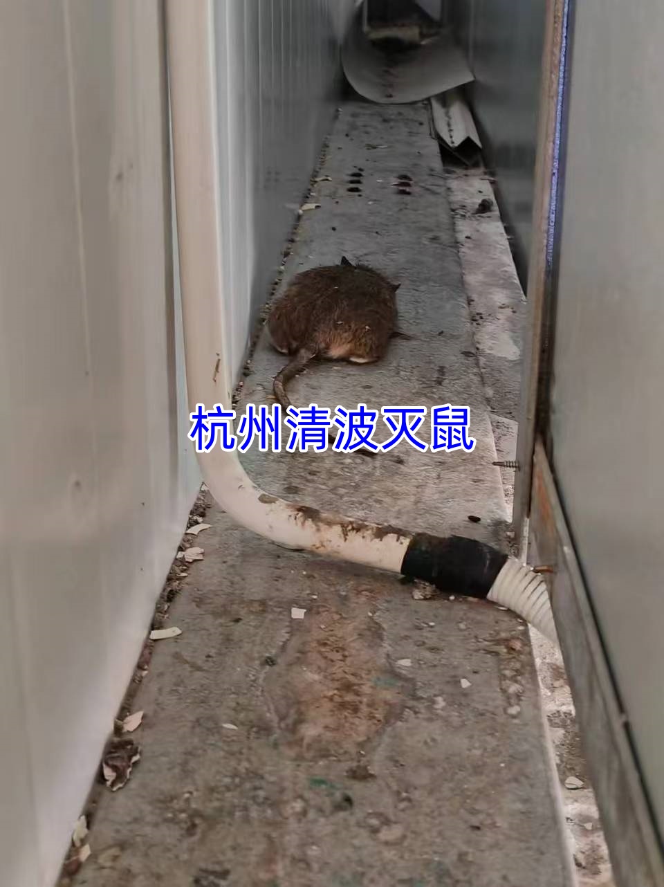 文章插图