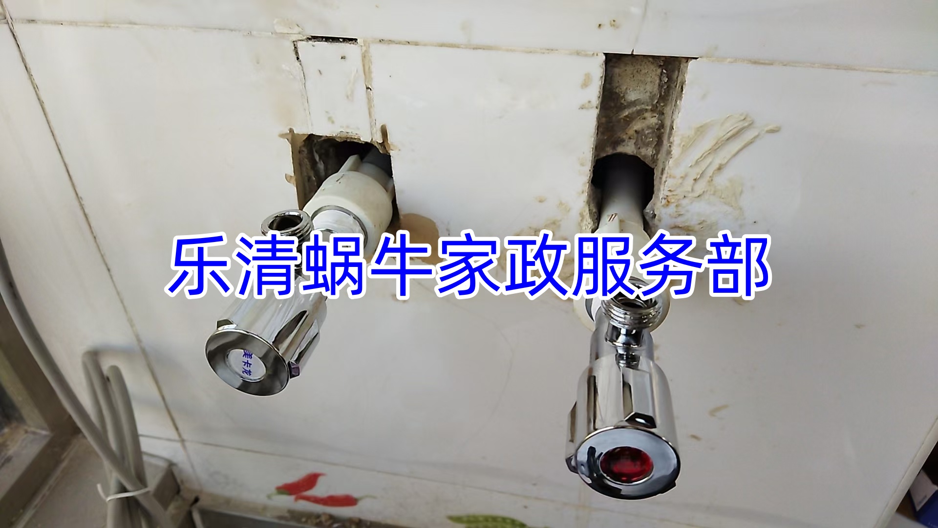 文章插图