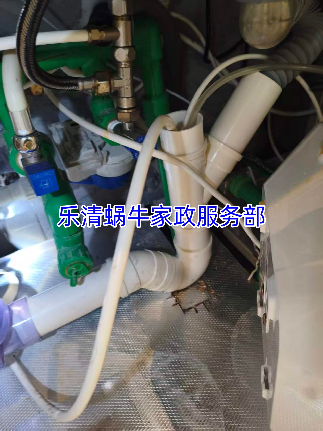 文章插图