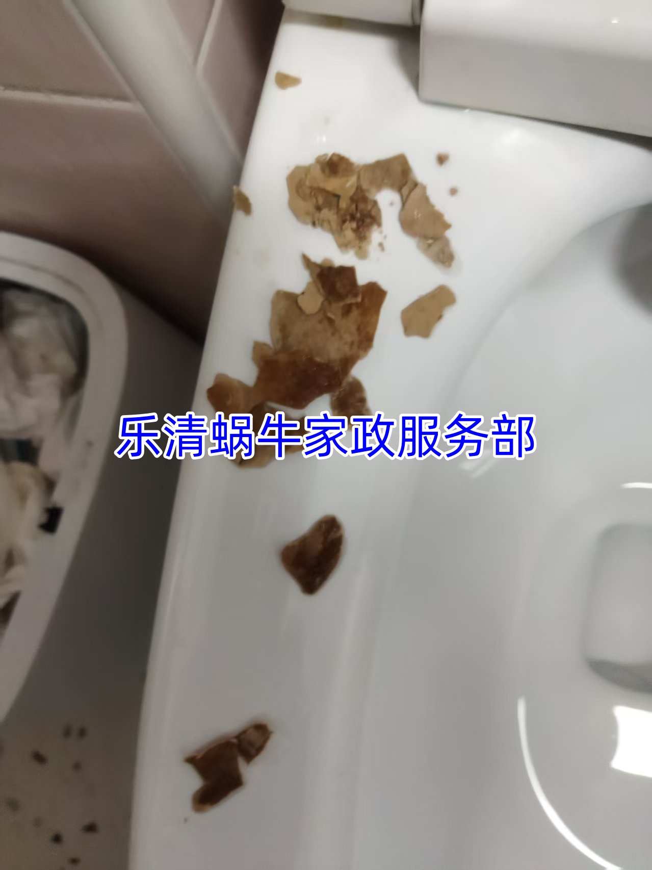 文章插图