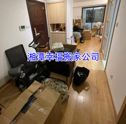 文章插图