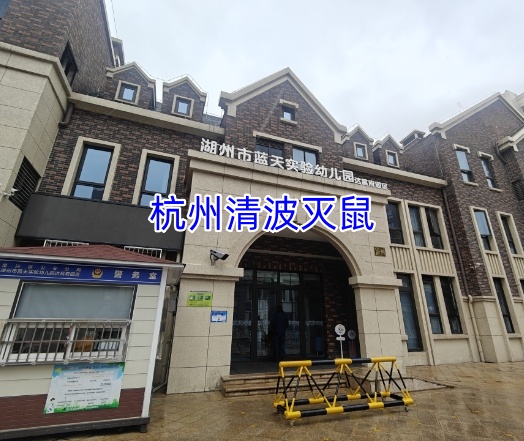 文章插图