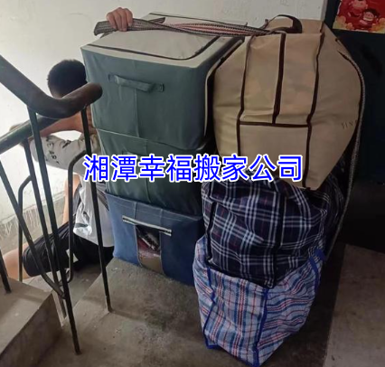 文章插图