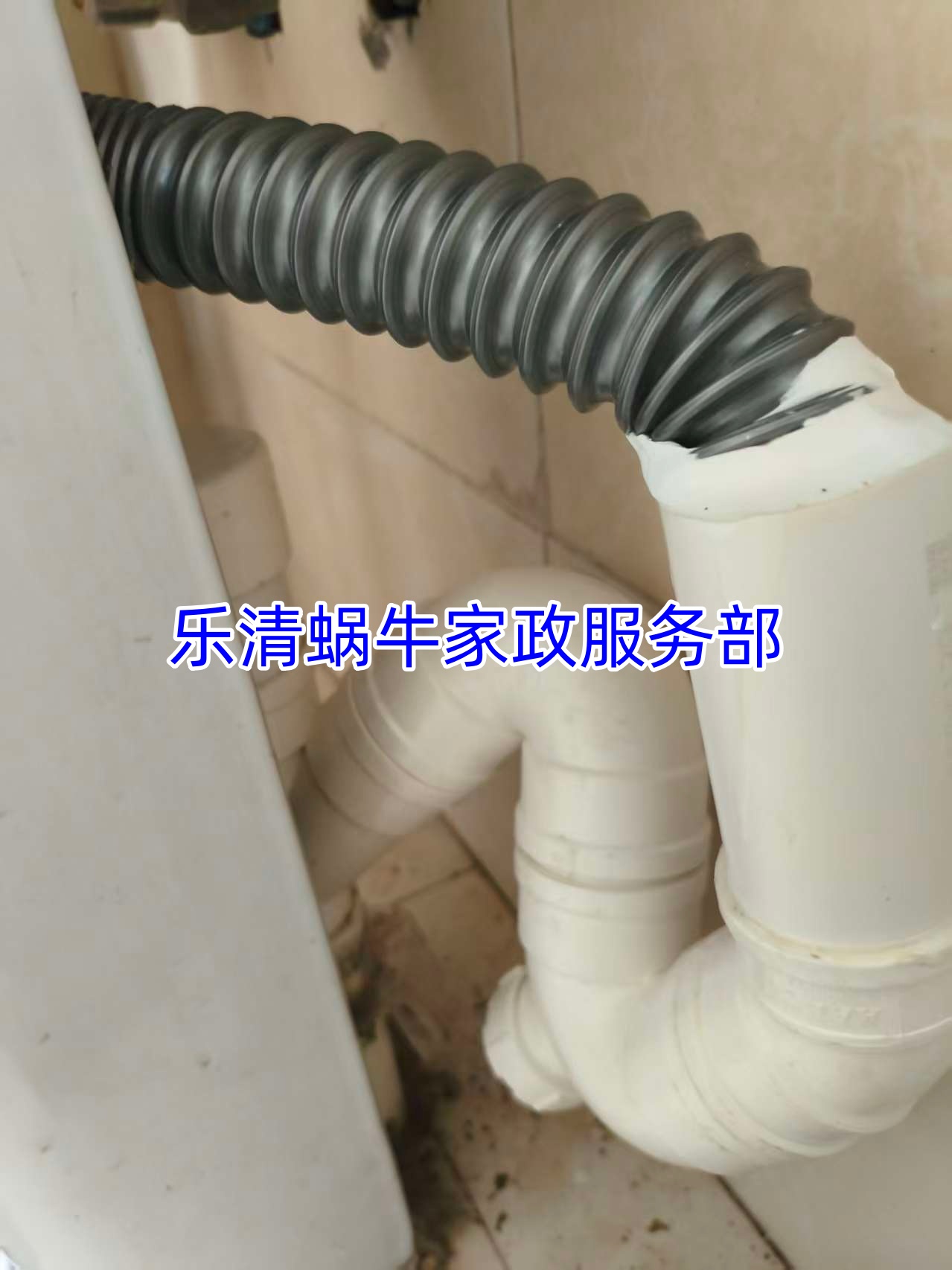 文章插图