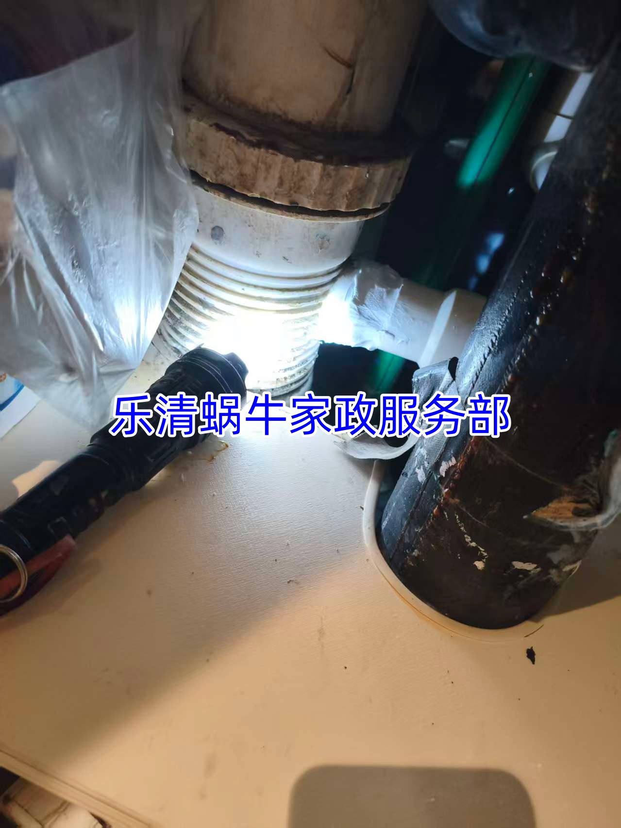 文章插图