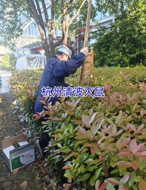 文章插图