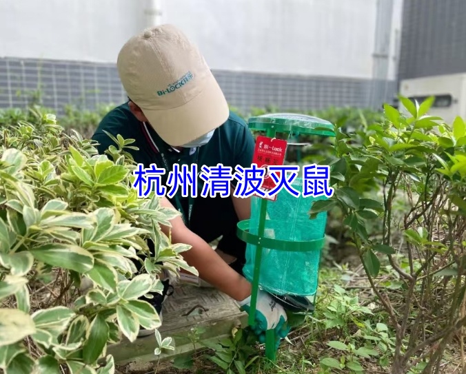 文章插图