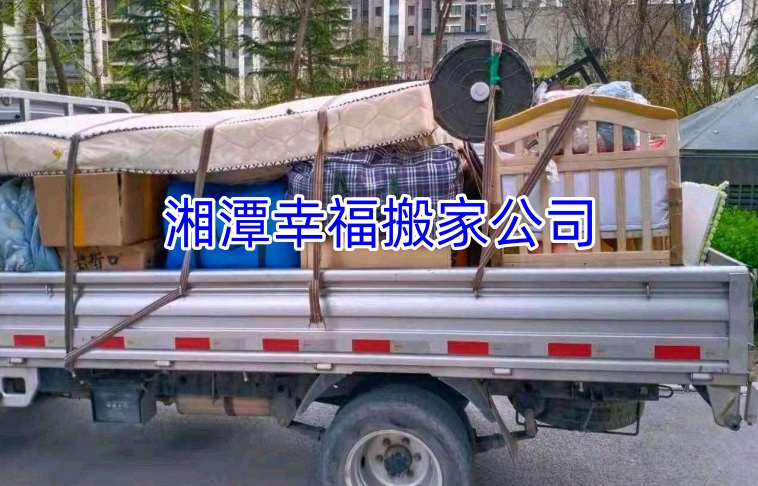 文章插图